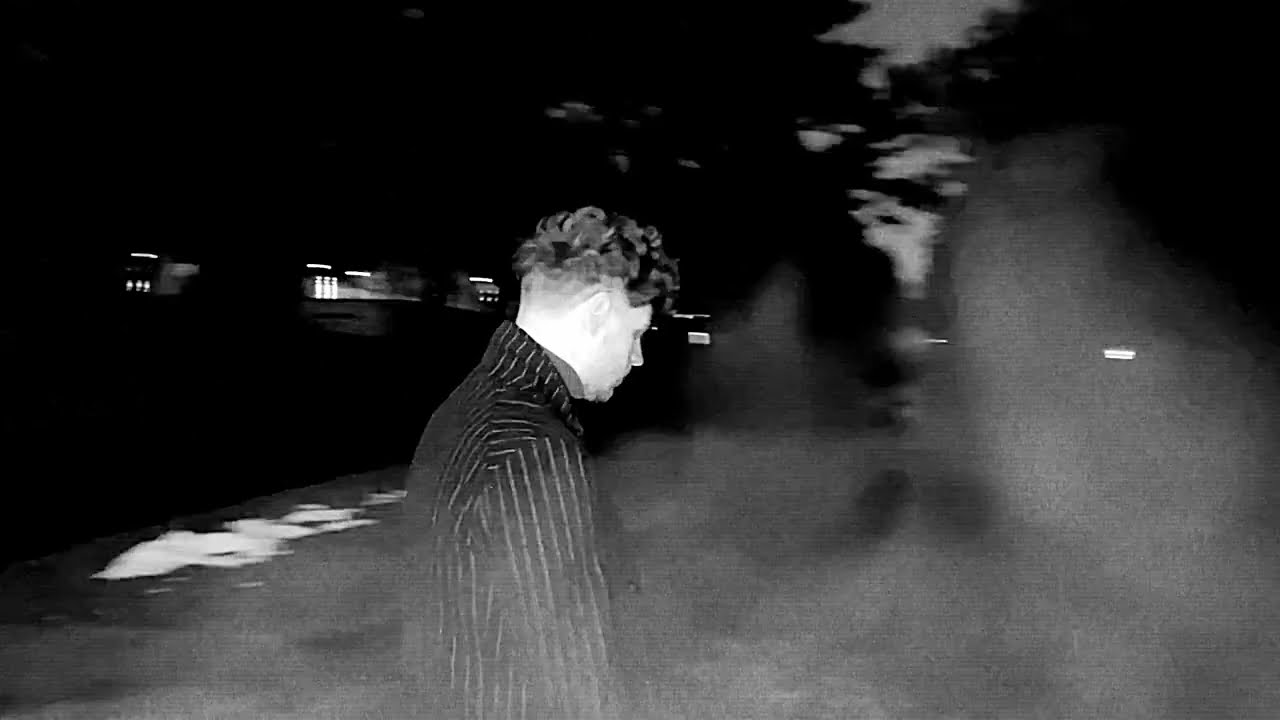 SNITCH-FREE - Vastukarva