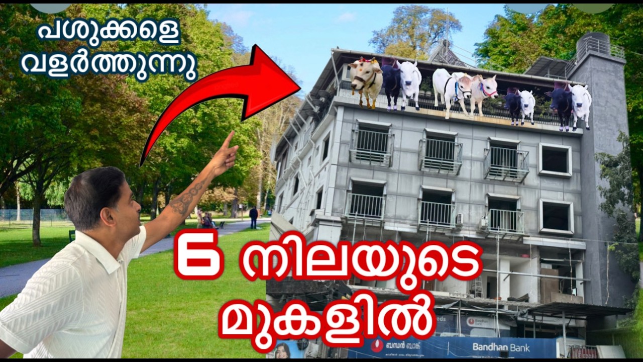 അതിശയം കേരളത്തിലെ ആദ്യ കാഴ്ച്ച. New Cow Farming malayalam 