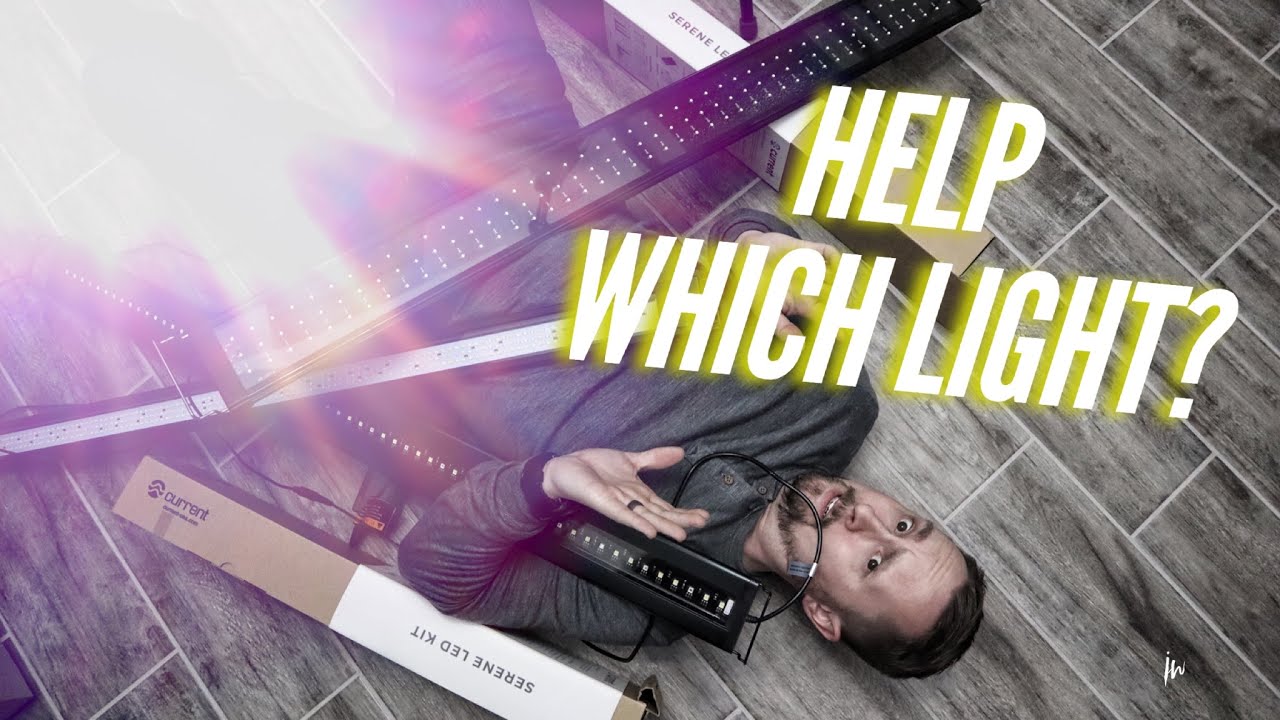 How to set up an AFRICAN CICHLID tank - Choosing the best light | Jay Wilson
