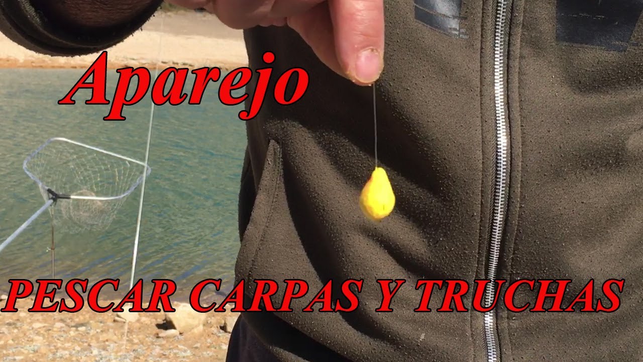Iniciación a la pesca. Cómo hacer aparejos para pescar trucha y carpa en Pantano de Calanda