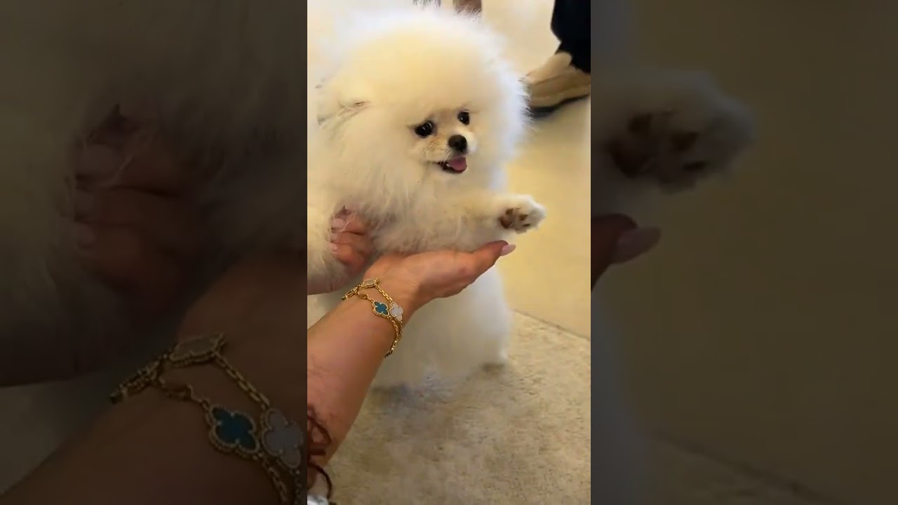 هند القحطاني مع حبيبها 💃🏼😍
