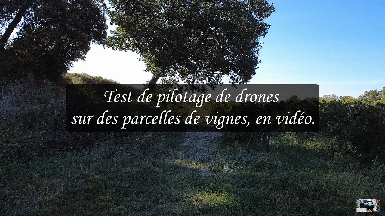 Vol de drone dans les vignes à Pouzols 2025