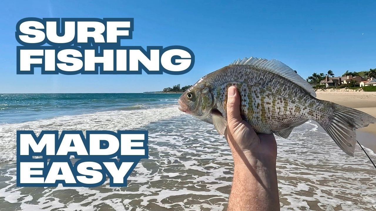 Surf Fishing for Beginners: Rig, Bait and Tips to Help You Catch Fish