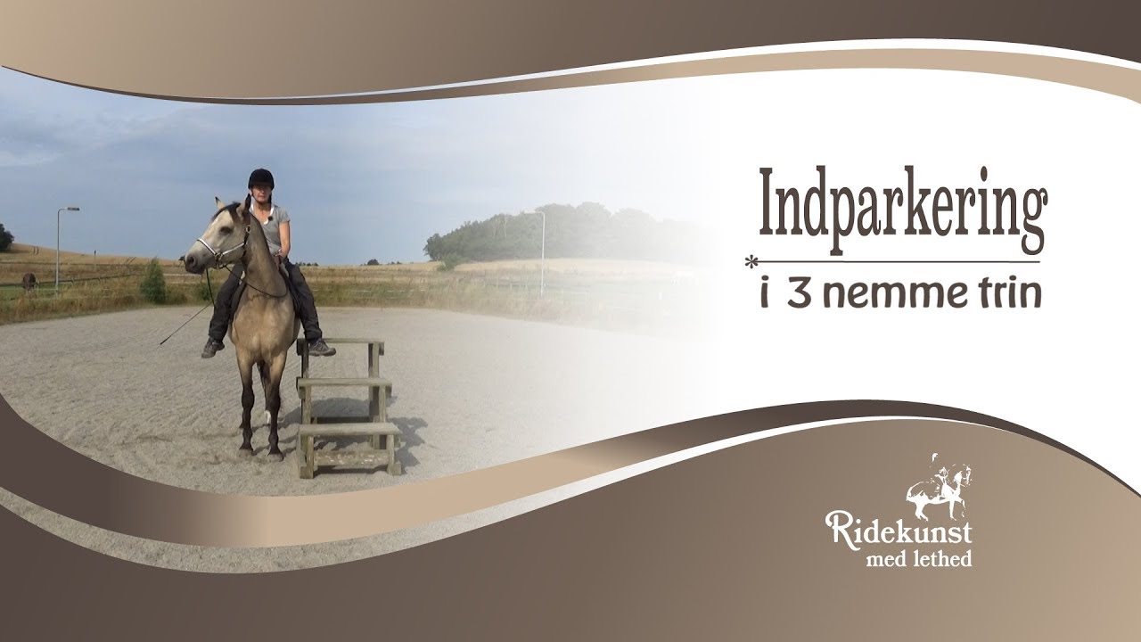 Indparkering i 3 nemme trin