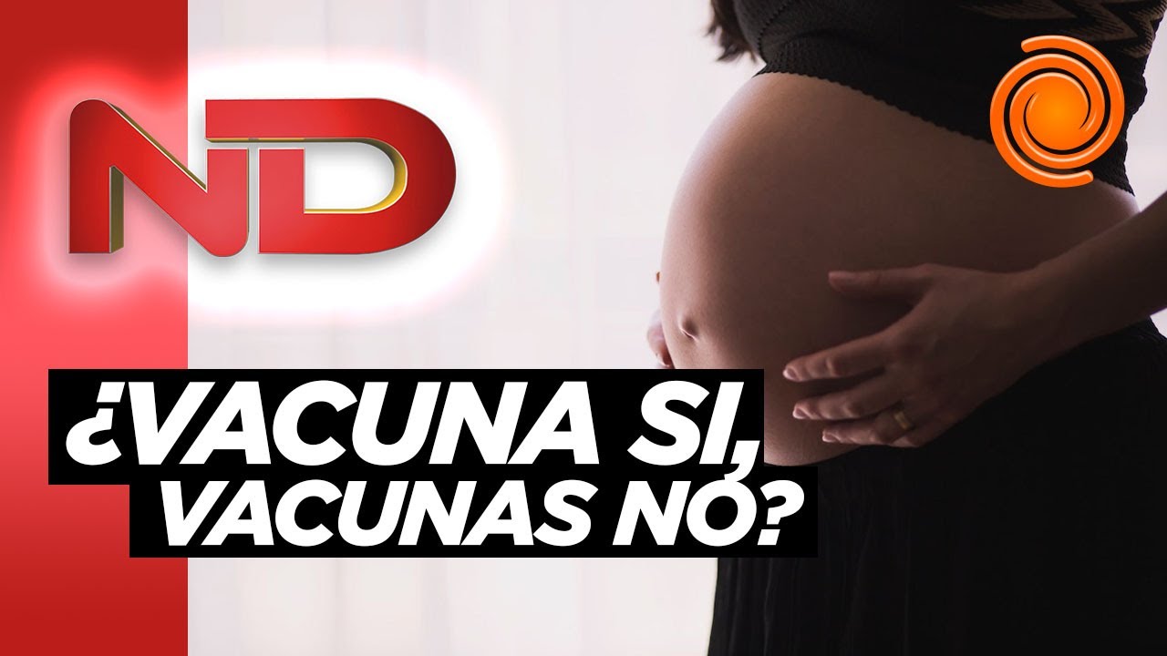 Vacunaci&oacute;n a las embarazadas: 