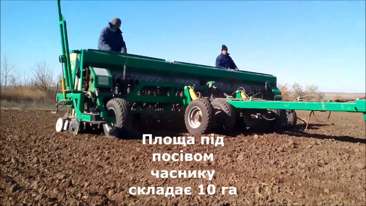 Посів повітряної цибулинки часнику