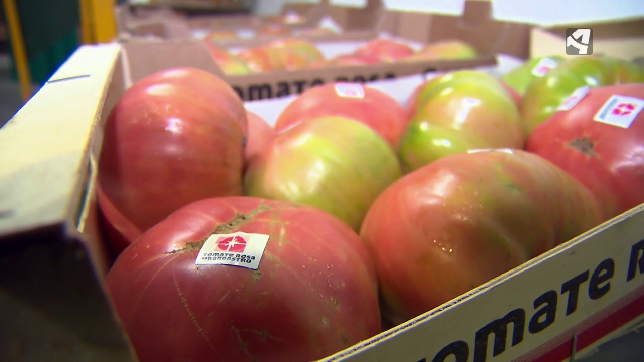 Tomate rosa de Barbastro