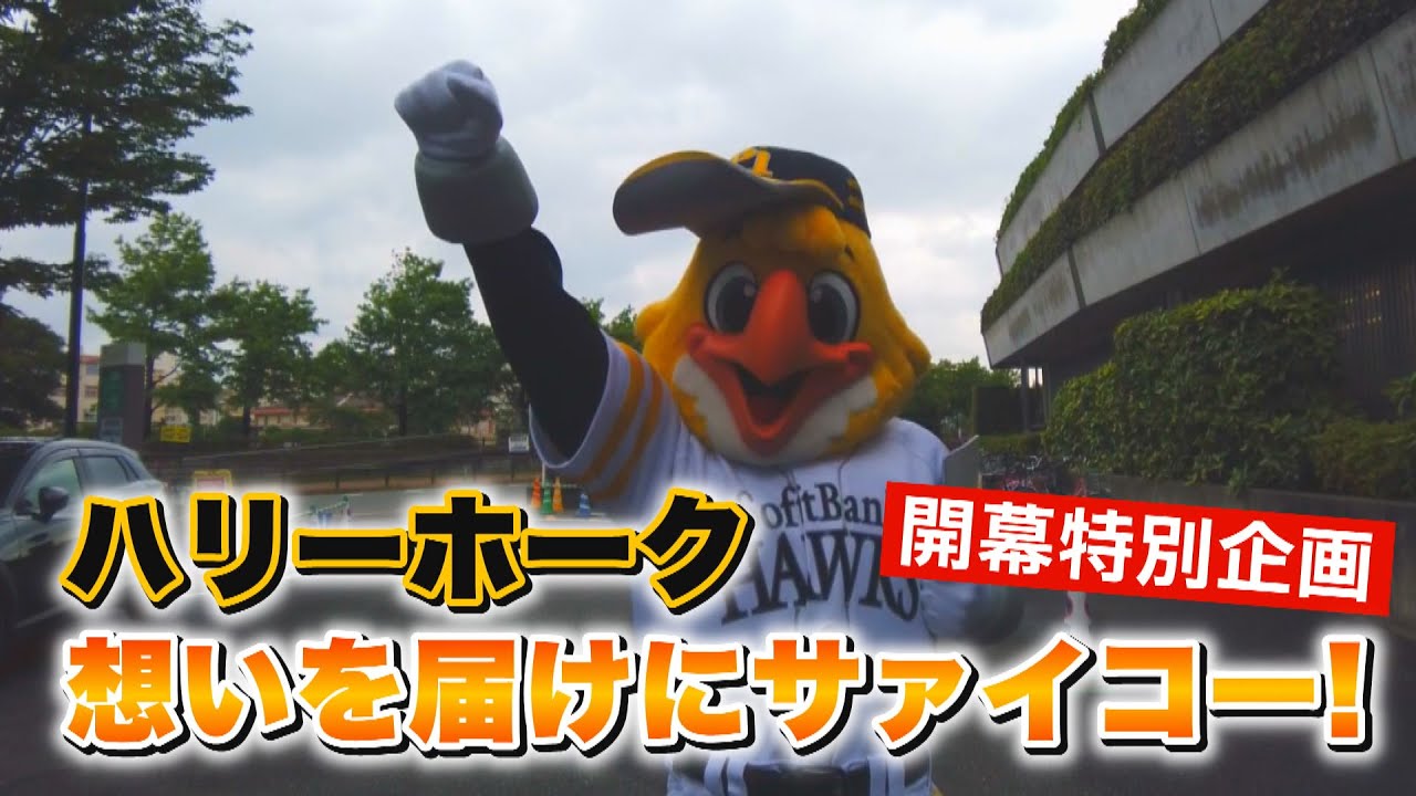 ホークス公式 ハリーホークに密着！想いを届けにサァイコー！