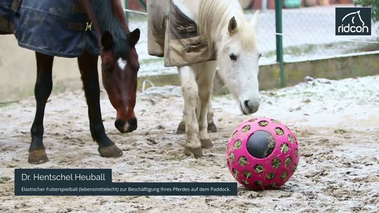 Dr.  Hentschel Heuball - Elastischer Futterspielball zur Beschäftigung Ihres Pferdes auf dem Paddock