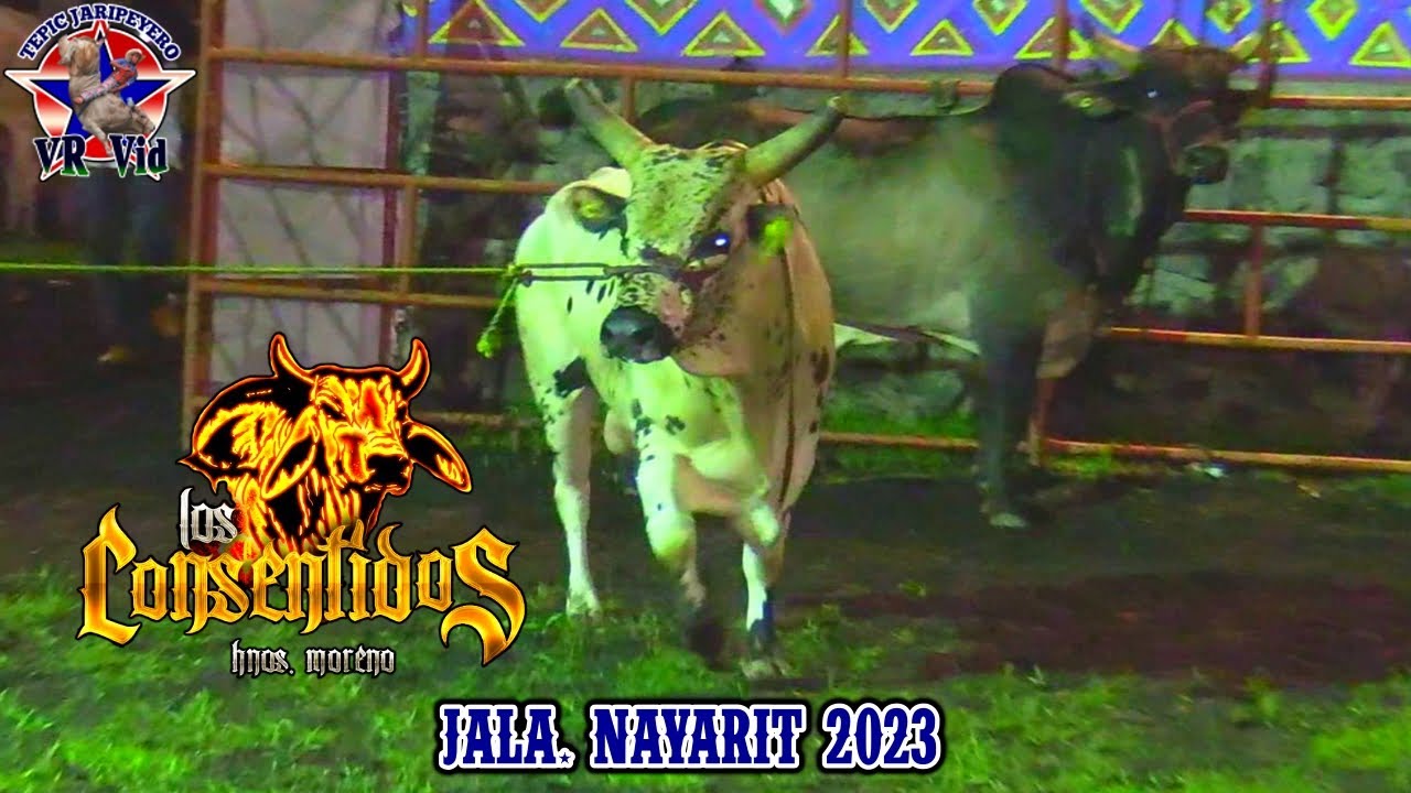 ¡¡¡DEBUTANDO SUS NUEVOS REFUERZOS!!! RANCHO LOS CONSENTIDOS EN JALA 2023