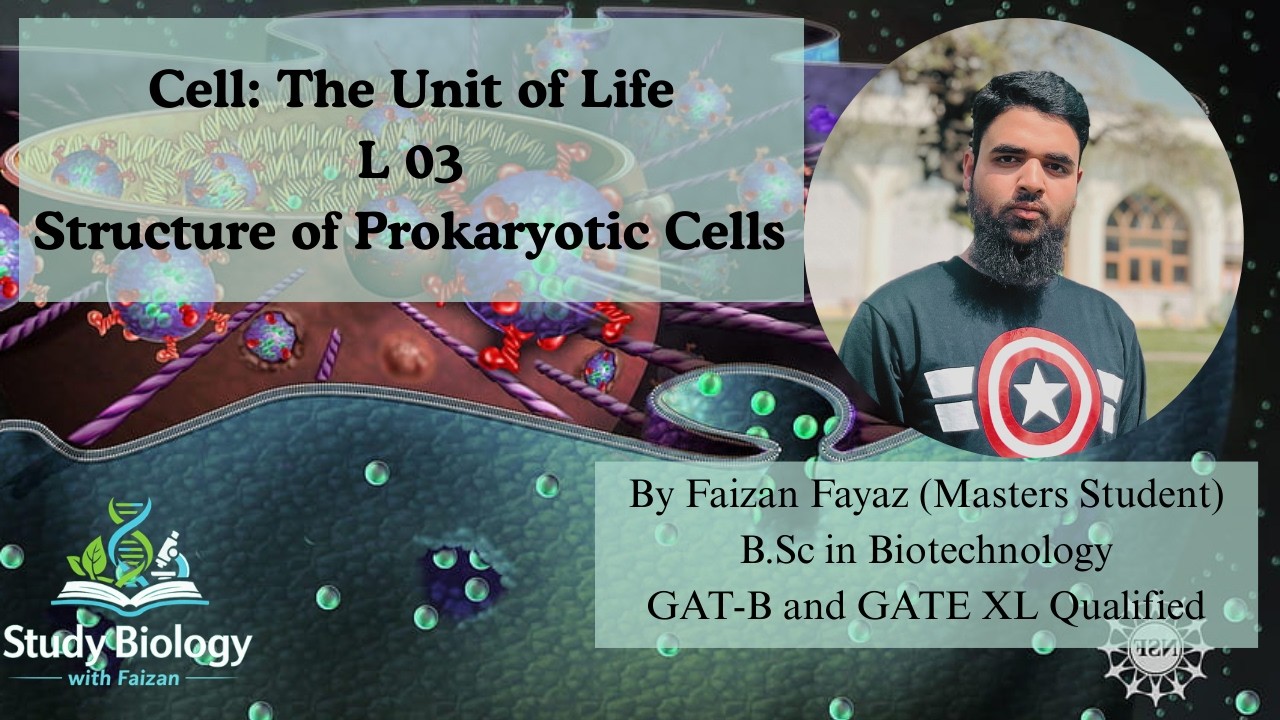 Prokaryotic Cell Structure in Detail | Class 11 Biology | L-3