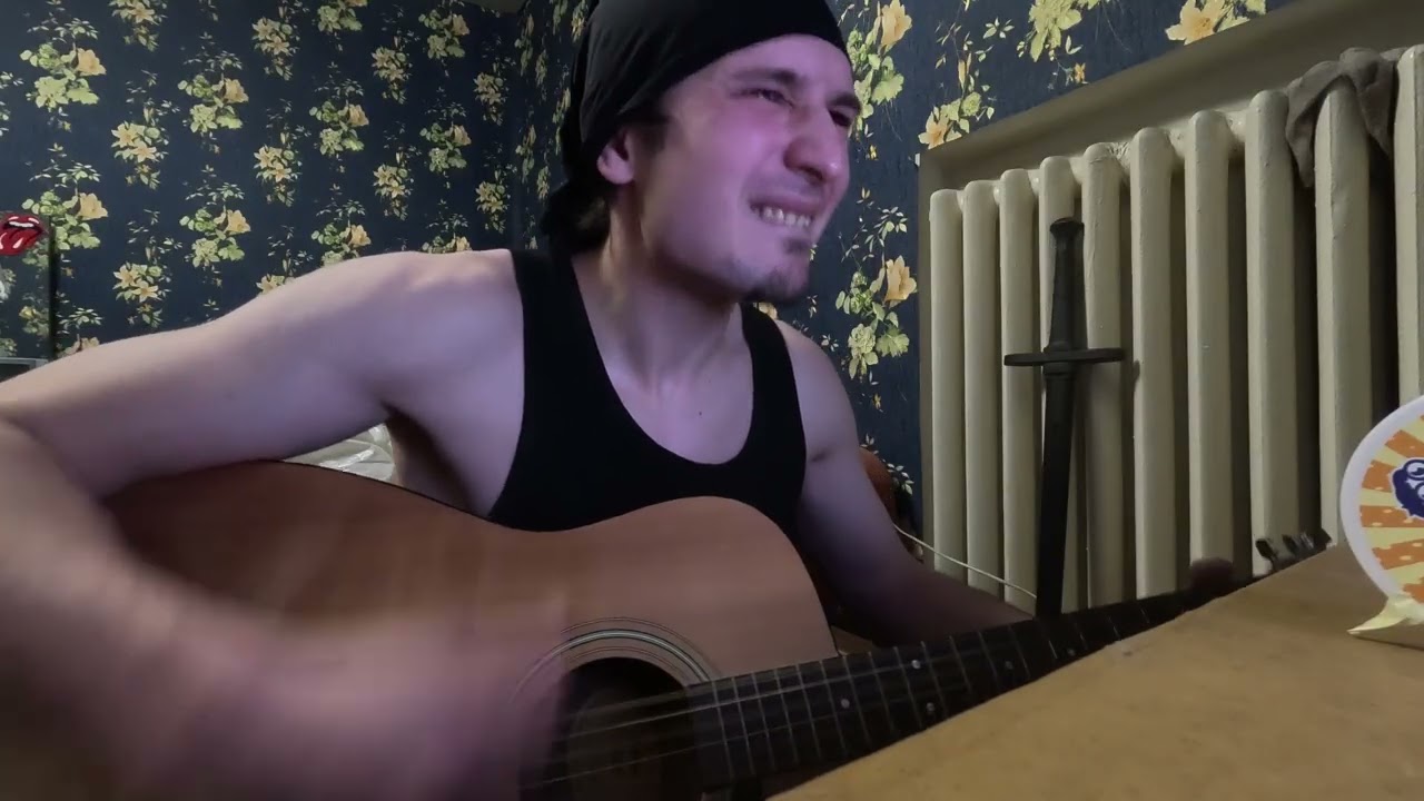 I Fought The Law - The Bobby Fuller Four (some sort of a song cover)
