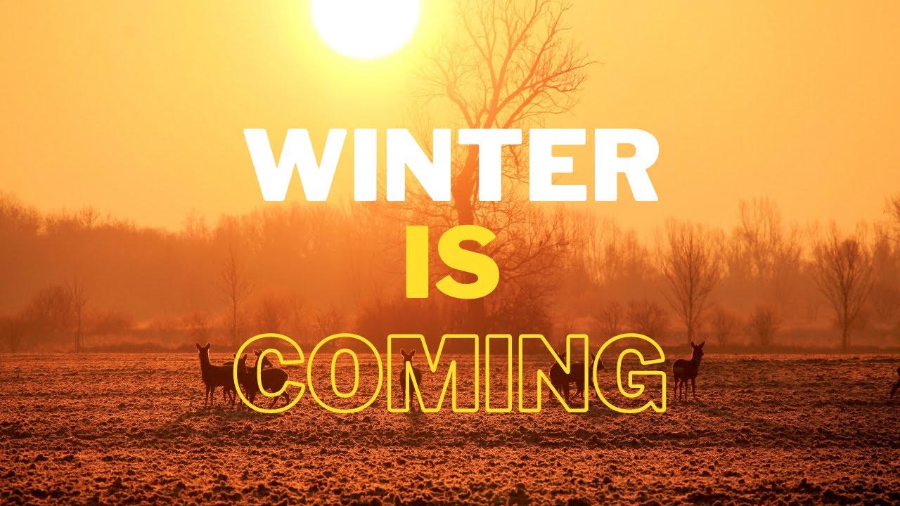 Winter is Coming | Tourism Vlog | Tour 2021 | Morning walk | Incredible Bihar | Incredible India