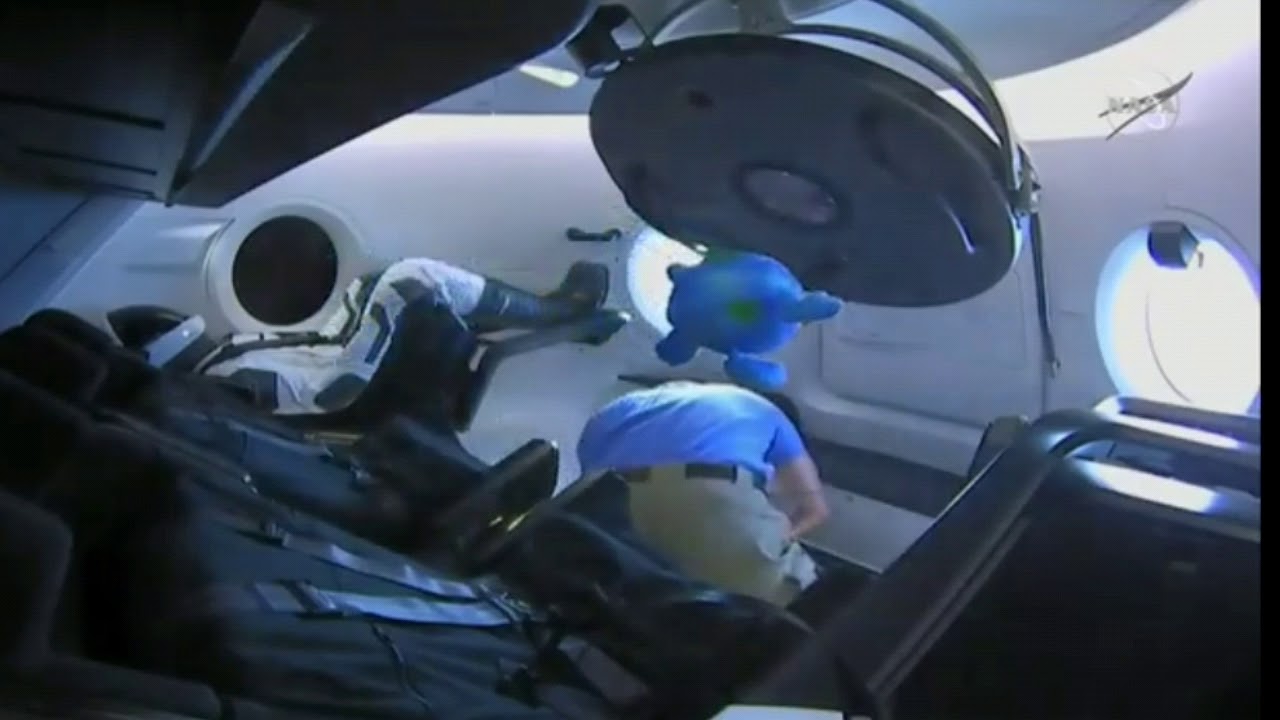 zero g indicator truly living its best life :')