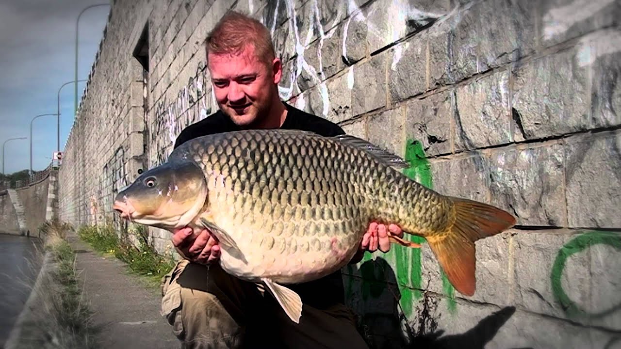 Cuyten Boilies - Running water #1