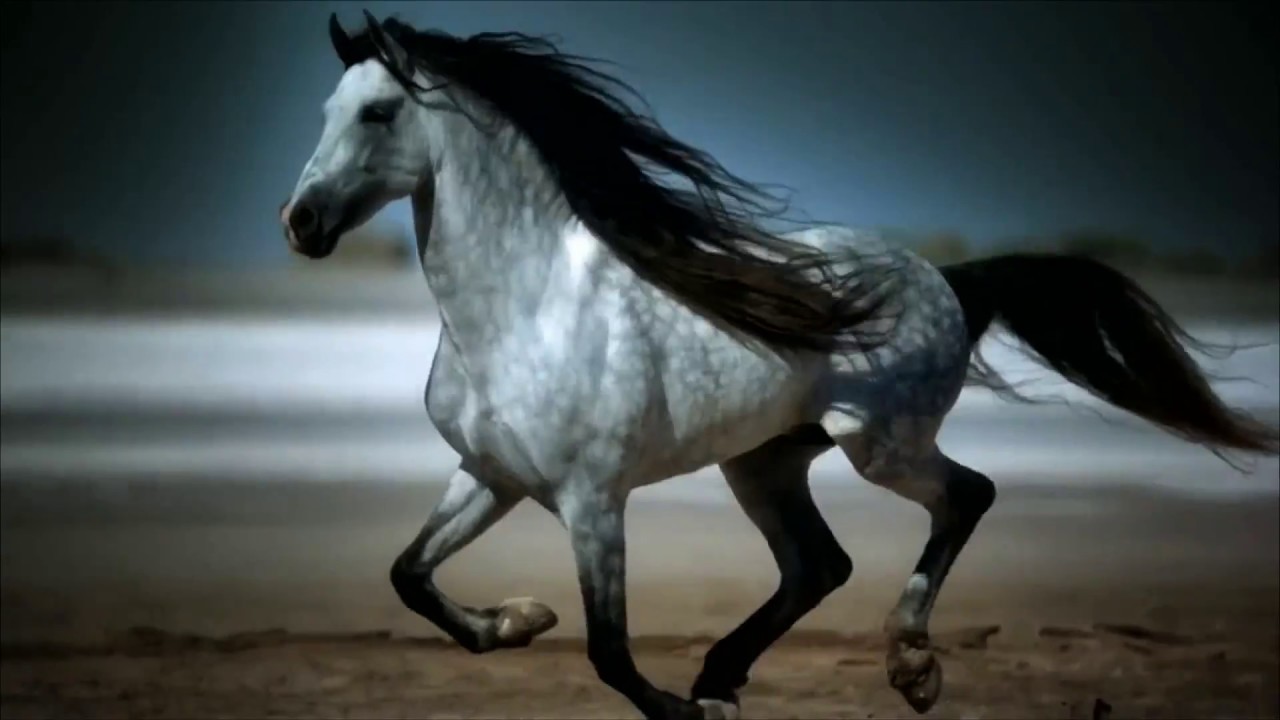 Berger Paints | Corporate Video