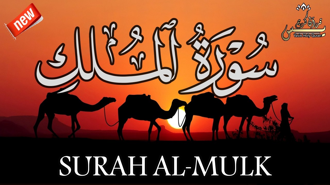 سورة الملك القارئ أحمد سامح     Surah Al Mulk Ahmed Samah