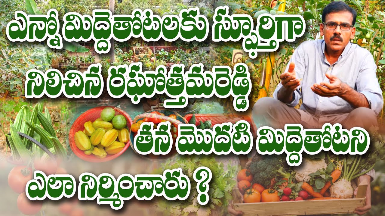 రఘోత్తమరెడ్డి గార్డెన్ - ఆరంభం ఇలా | Terrace gardening