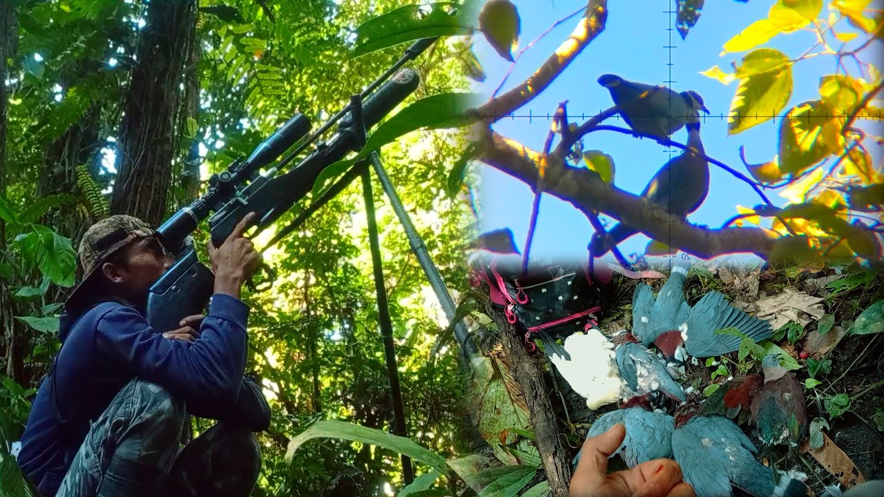BERBURU PERGAM JUMBO DAPAT SPOT BEGINI SEBENTAR SAJA TAS SUDAH PENUH