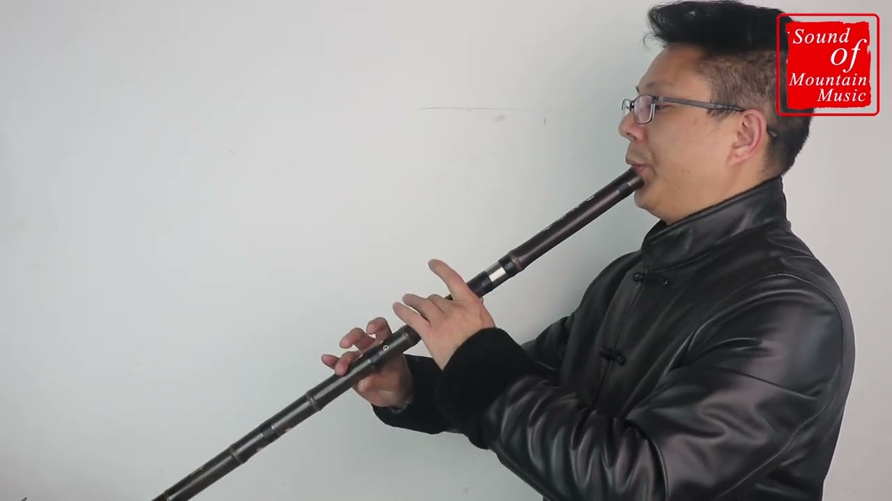 Master Made Purple Bamboo Flute Xiao Instrument Chinese Shakuhachi 2 Sections 萧