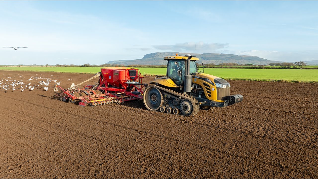 Sowing the Last Winter Wheat! Cat Challenger 765E & T7s in Action | J Wray Farms