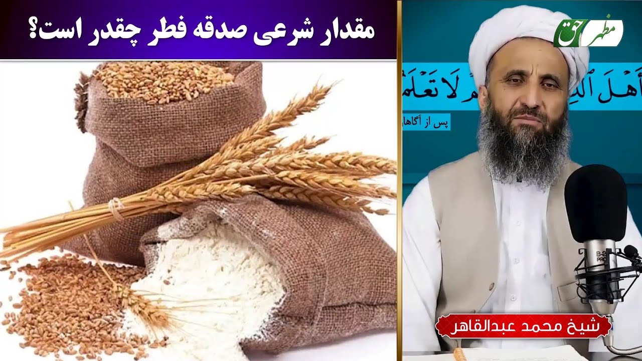 پرسش و پاسخ| مقدار شرعی صدقه فطر و نصاب چقدر است؟ شیخ محمد عبدالقاهر عفاالله عنه
