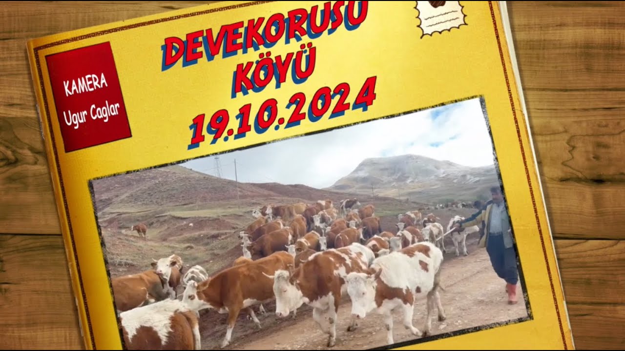 YOL YAPIMI - DEVEKORUSU KÖYÜ - 19.10.2024