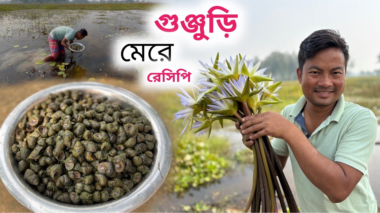 বিলের গুঞ্জুড়ি | শালুক ফুলের ডাটা দিয়ে একটা অসাধারণ রেসিপি | Snail Recipe 