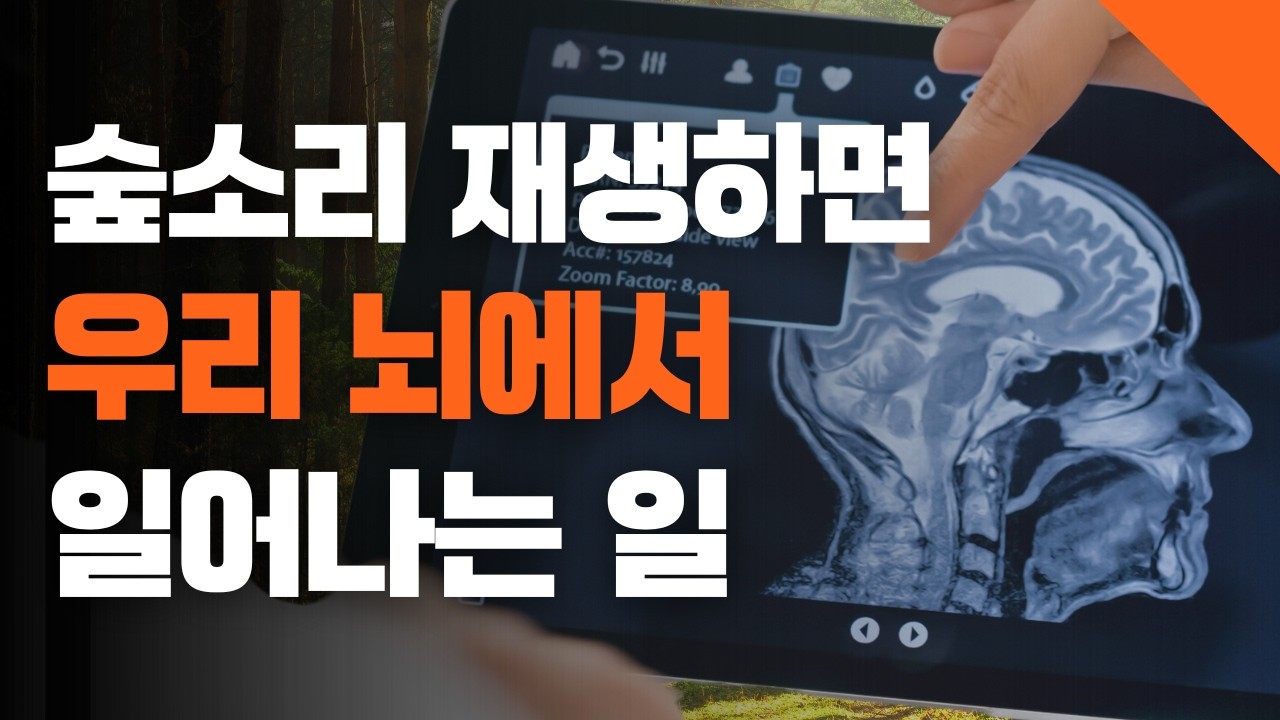 숲소리 빗소리 효과없다? 과학자들도 깜짝 놀란 연구결과들 (feat. 유튜브 숲영상)