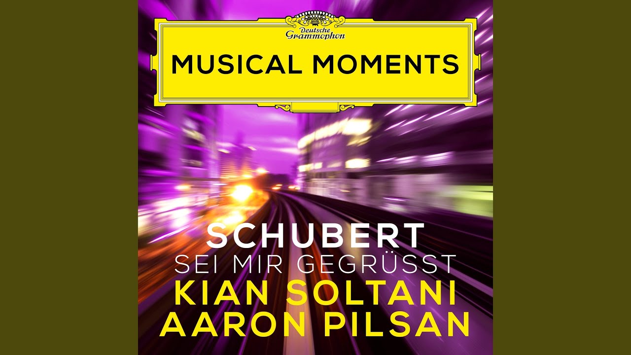 Schubert: Sei mir gegrüßt, D. 741 (Transcr. Soltani for Cello and Piano) (Musical Moments)