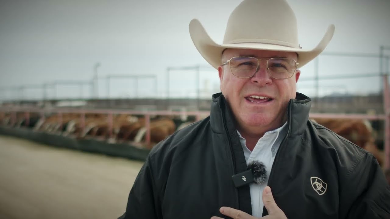 Santa Teresa Livestock Auction