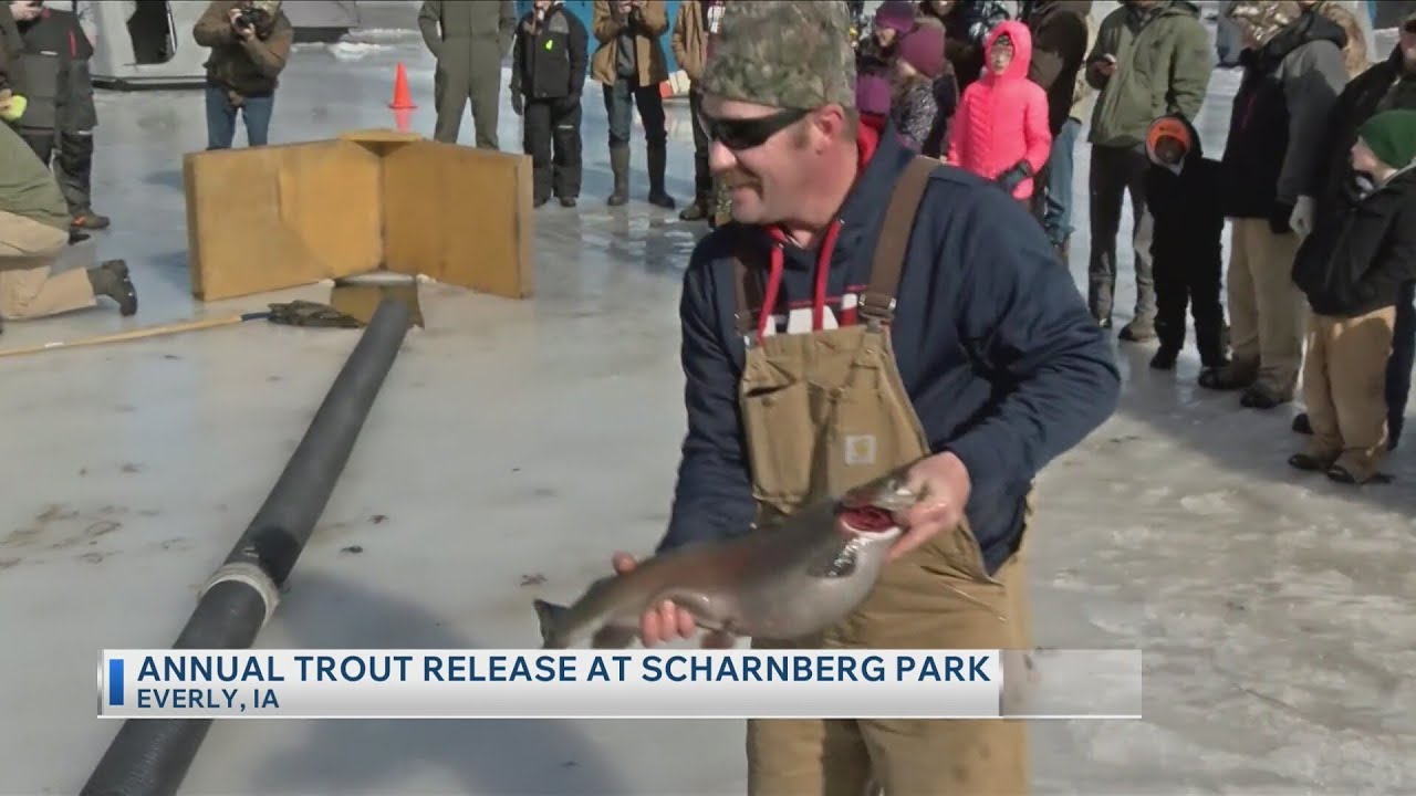 Annual trout release at Scharnberg Park
