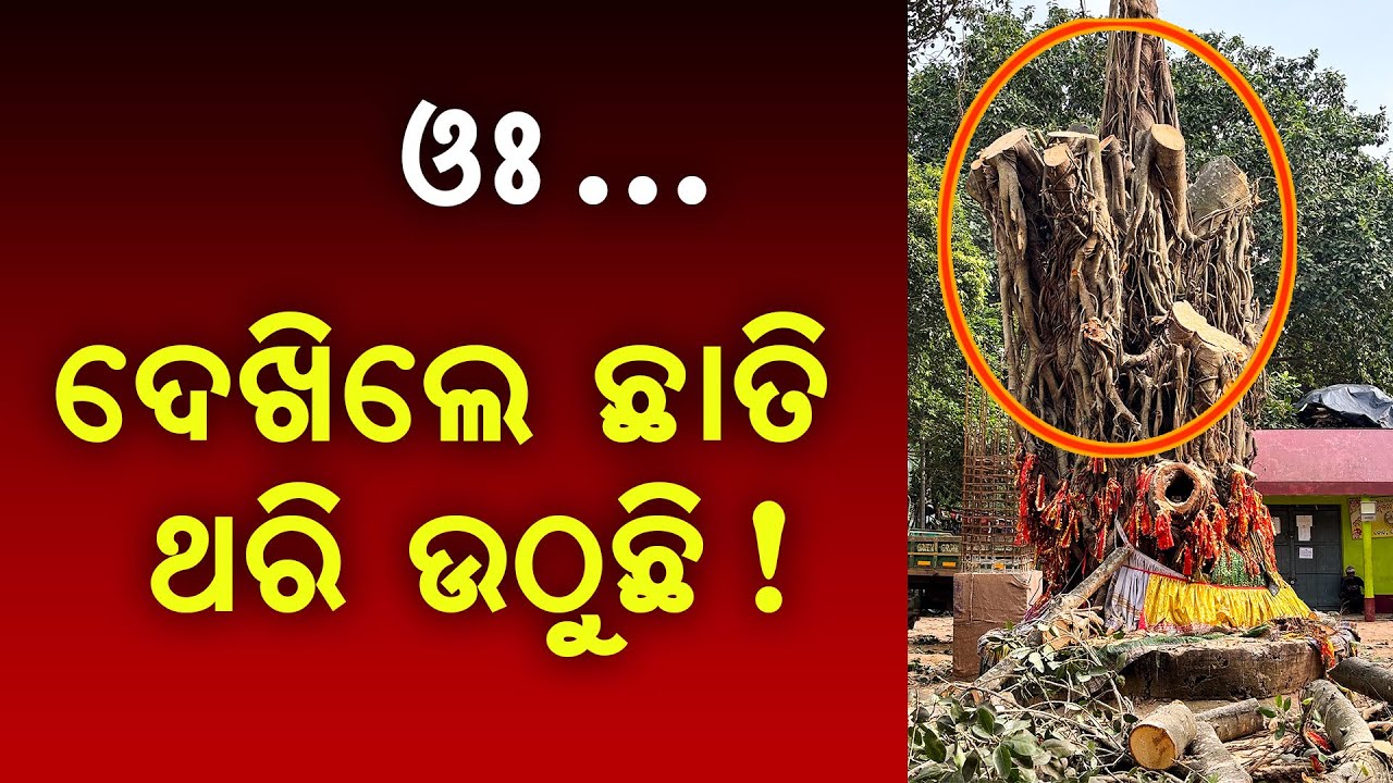 Panchsakha Pitha Nemal Bata Cut Down | End Of Kaliyug | Malika Bhavishyavani | @SatyaBhanja