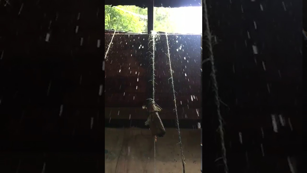 pendulum brush w rain, 00:21