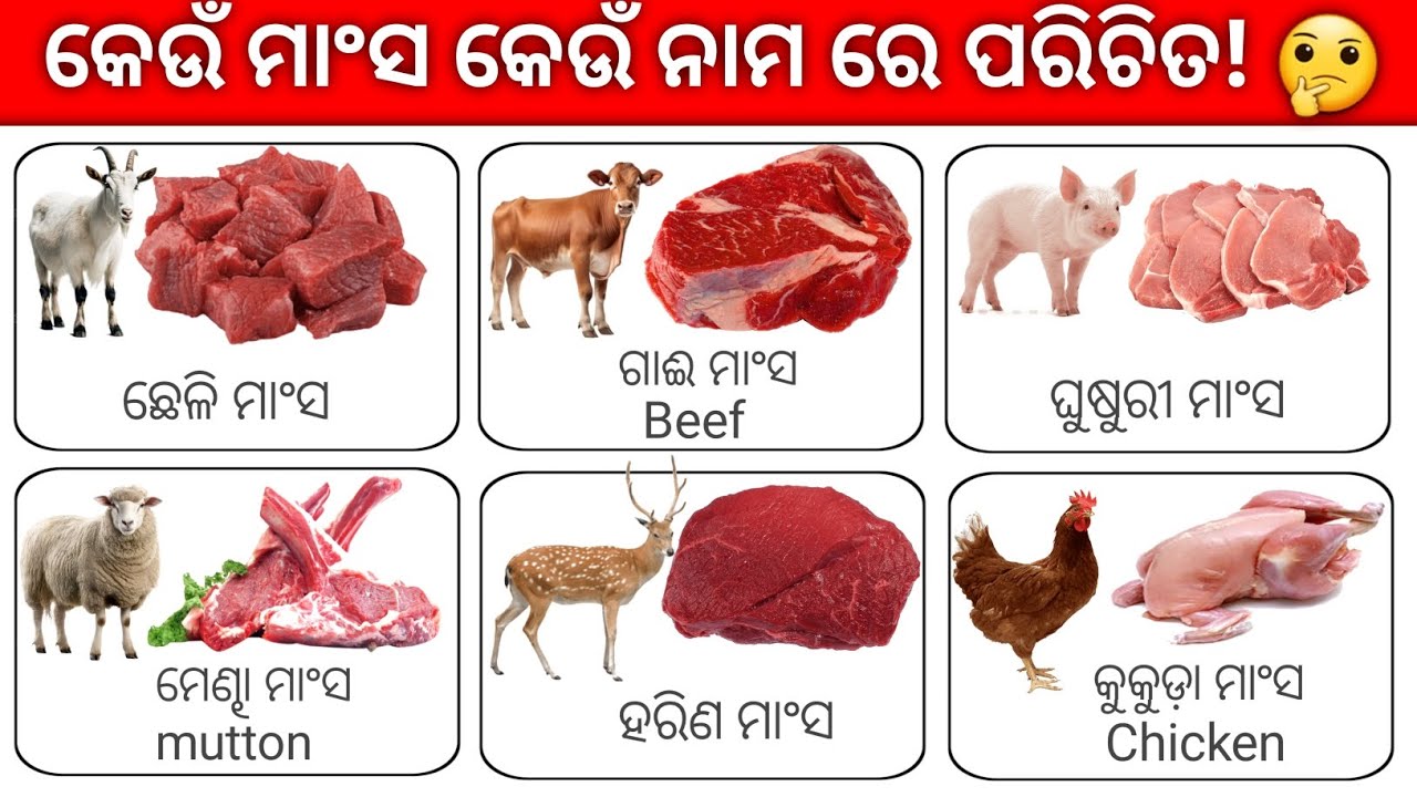 What is the English Name for the meat of different animals?