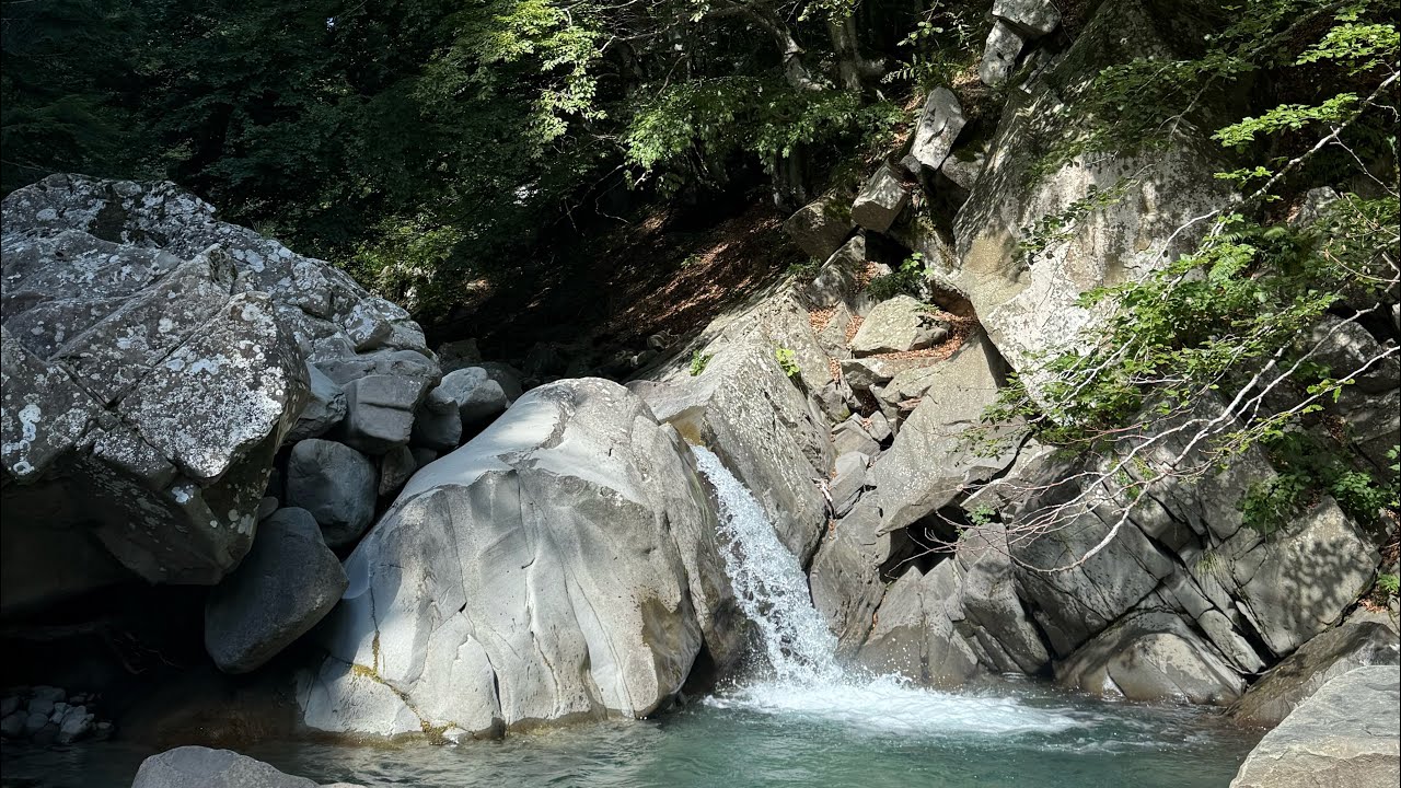 Pescata di ferragosto: trote selvatiche a mosca in Appennino