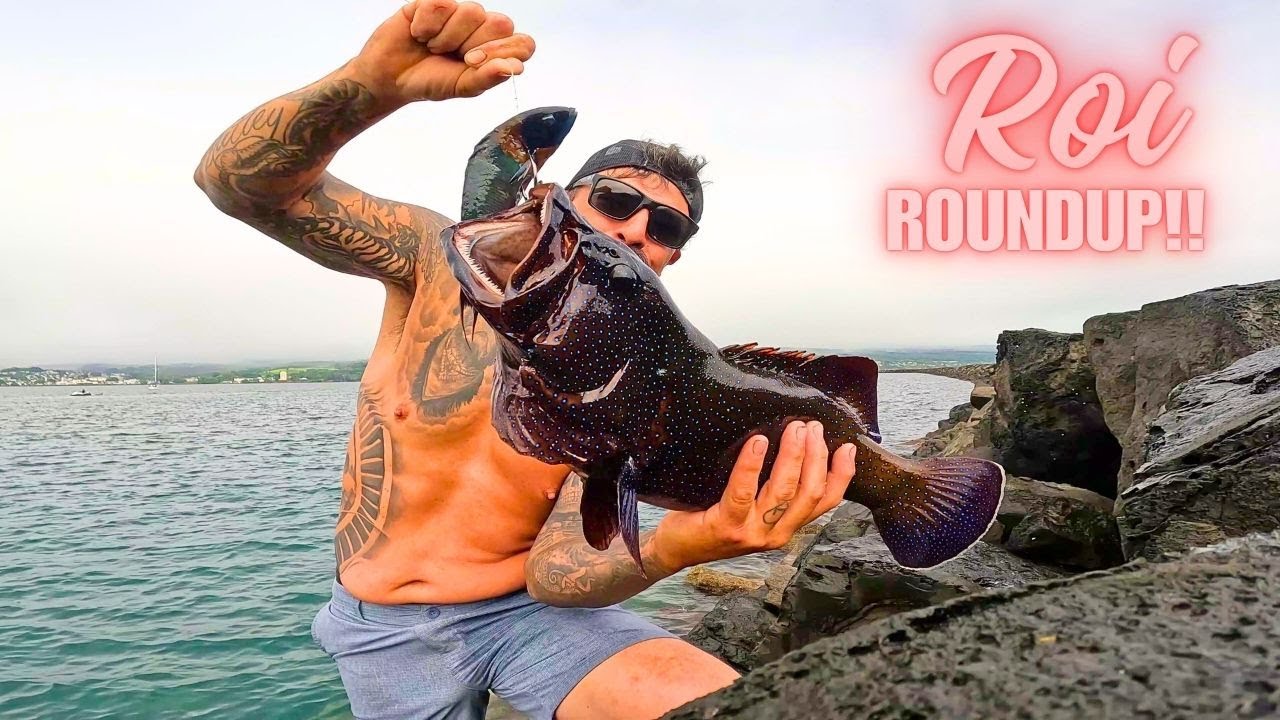 Super Invasive & Extremly Aggresive Roi Fish / Fishing Hilo Breakwall Big Island Hawaii