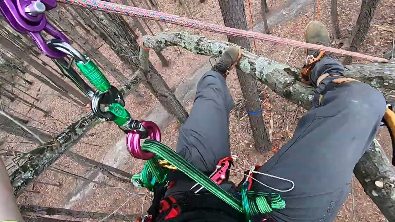 2024 Practice Work Climb - TrueTimber Arborists HQ - Richmond, VA
