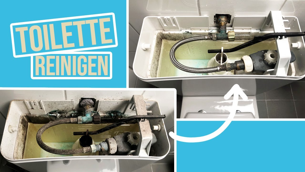 So wird die Toilette richtig sauber - WC Spülkasten entkalken & unter dem Rand reinigen