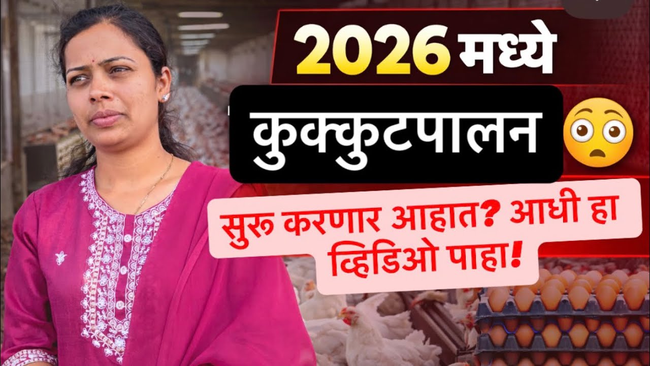 2026 मध्ये कुक्कुटपालन? थांबा आधी! 🐣🐥#puregavran #farming SKpuregavranfarm