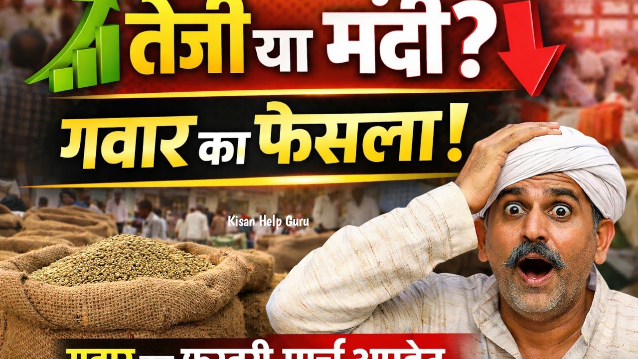 ग्वार के भाव आज 📉📈 | मेड़ता मंडी। फरवरी मार्च अपडेट| तेजी आएगी या मंदी? #GuarBhav#GwarPrice#Guar