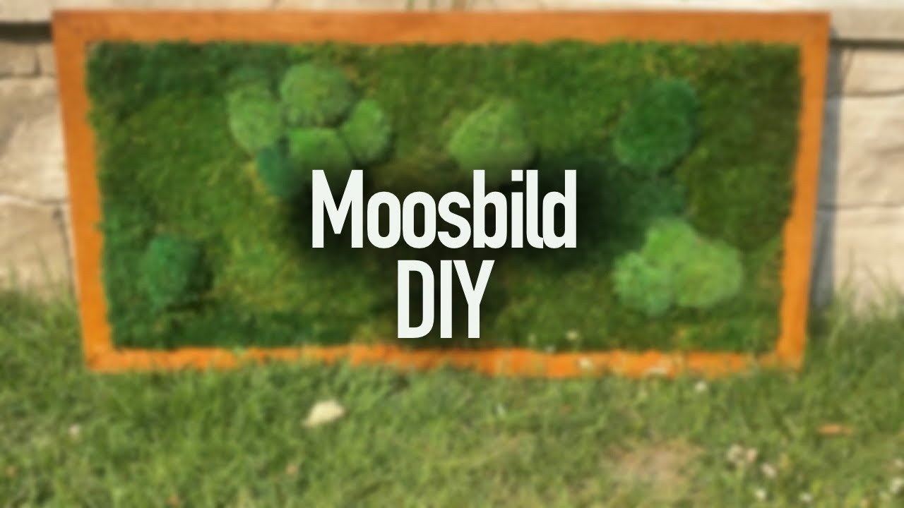 So baust du ein atemberaubendes Moosbild f&uuml;r dein Zuhause