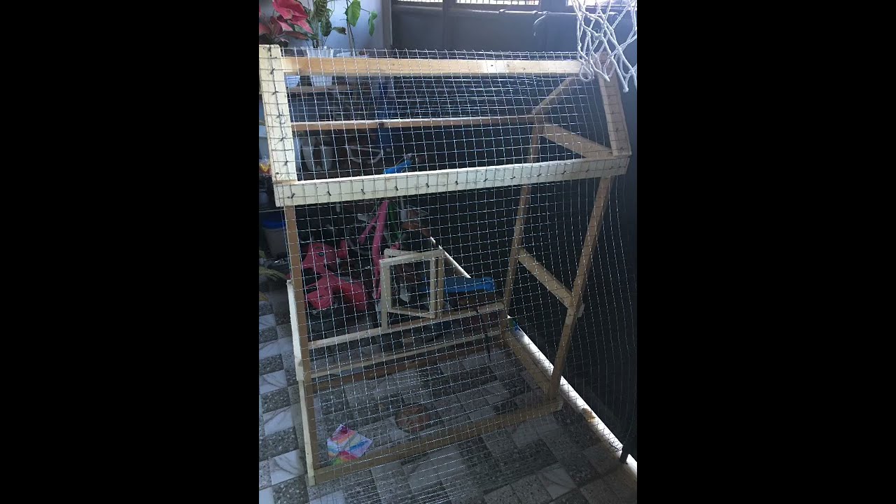 Low Cost DIY Flight Cage for My Cockatiels - Php 1,000.00 | Wooden Cage