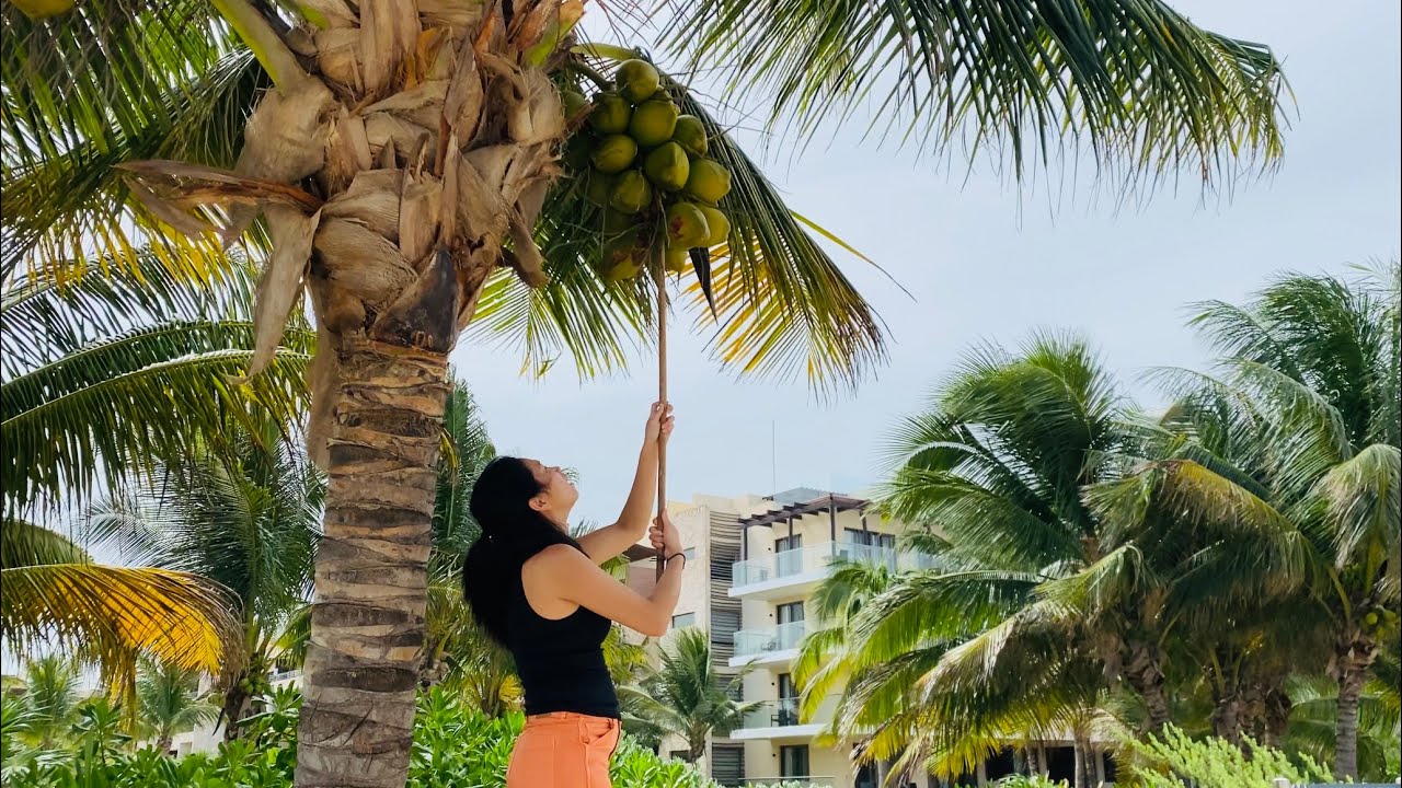 Cancun Mexico vacation July 4 2023 part 1