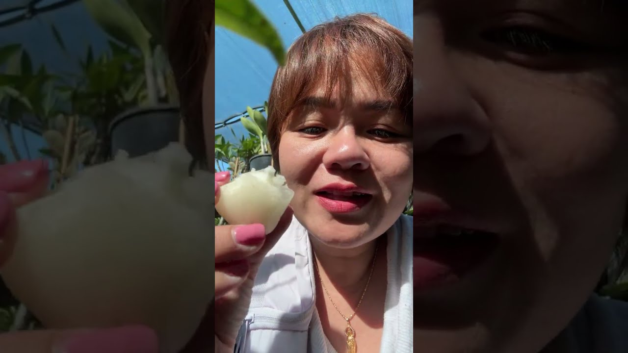 1308 N Stimson Ave, La Puente, CA 91744  ☎️626-725-5538