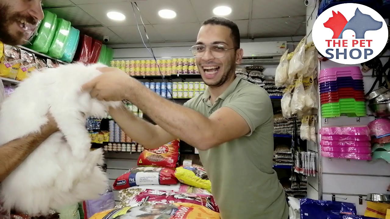 طريقة علاج الديدان الإعطاء القط جرعة من أقراص الديدان |the pet shop