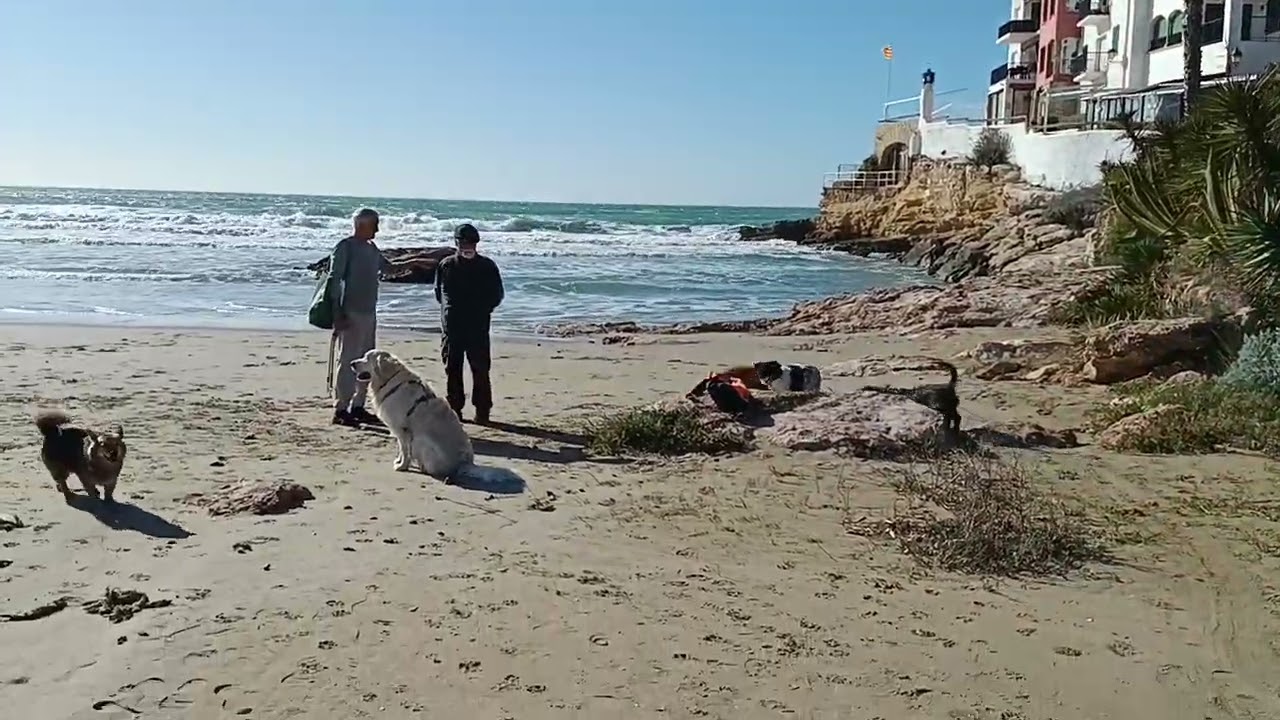  Závoznïk se už asimiloval...narozdíl od řidiče