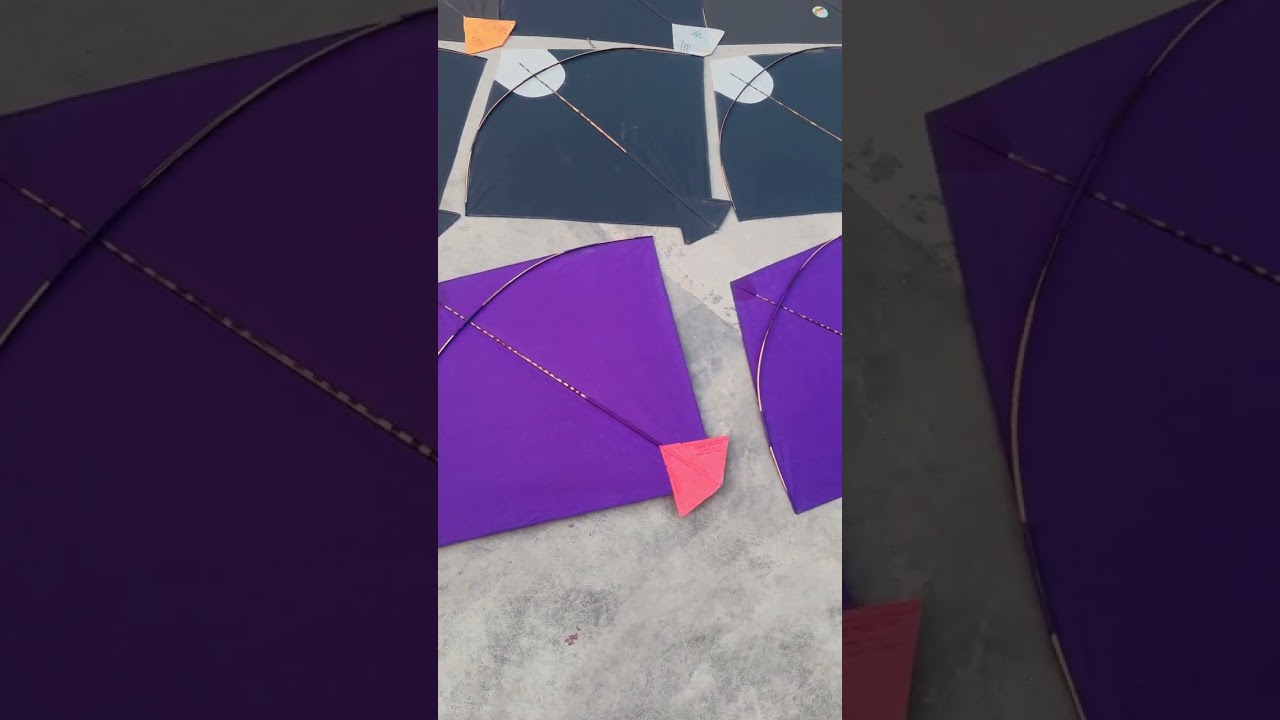 Kite Collection #patang #kiteflying #foryou #shortfeed #shortsfeed #shorts #short #trending #viral 