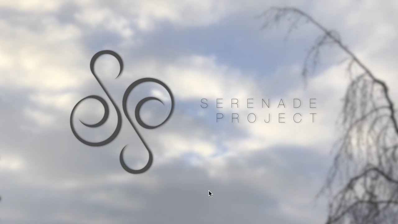 Serenade Project  -  Heaven full of Tears