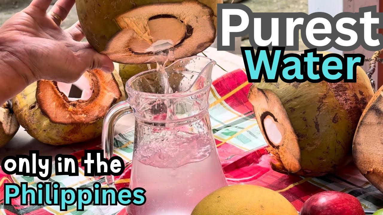 Buhay sa Kabukiran//Simple Life in the Countryside//Philippines